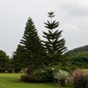 タイより暑い日本の気温