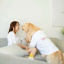 Burberry かっこいい犬服