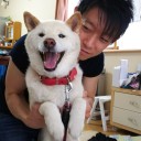 大方の予想通り