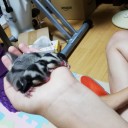 9月17日の日記