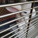 連休2日目