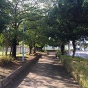 早朝のウォーキング