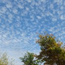 秋の空　秋の庭