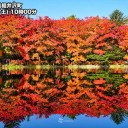 各地でこの秋一番の冷え込みとなっています。