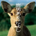 MTG　TRPG　デッキ改案　しんせつな鹿デッキ