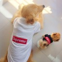 ペット服 シュプリーム 秋 冬 犬服 パーカー グッチ 猫服 春 ドッグウエア 人気 ペット用品