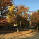 ウォーキングで新しい発見