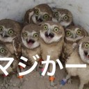 【 １０ ℃ 以上 】気温が低くなりました。