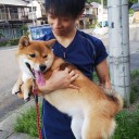 今日で