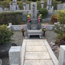 お花の値段