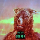 微笑みのばくだん