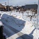 2月に入り