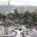 今朝は　雪です！