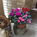 土曜日の休日