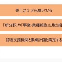 新たな「事業再構築補助金」