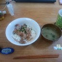 今年も花見どころじゃない（水曜日）♪