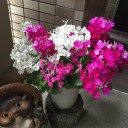 雨の日曜日