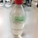 ゾウリムシとミジンコ