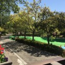 長岡京市の朝掘り筍