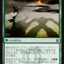 新しいtinfinsの可能性来るのか⁉️