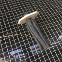 金魚とメダカの産卵開始