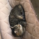 お地蔵さま