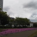 琵琶湖畔　なぎさ公園