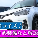 もんすたーはんたーらいず　かったよ