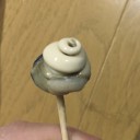 ニナ貝