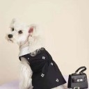 人気新作ブランド犬用品 ペット服 新発売!!