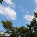 久しぶりの青空
