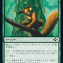 リスサルはかわいいですね　（檻を用意）
