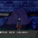 ポケモン剣その2