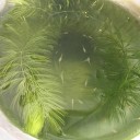 休日出勤