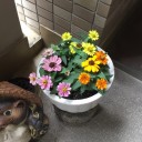 ２か月半振りのスポーツクラブ
