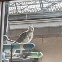 猛烈に
