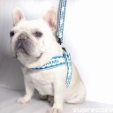 シャネル 犬用リード 首輪 ハーネス フェンディ iPhone13/13Proケース