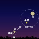 （今日からこの項目は、【 TV 】に入れてみます…）