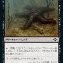 サメ＋ヒトデ＋著大化 スーサイドスクワット！