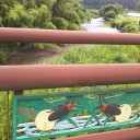 夏休み　孫と！