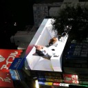 新宿のねこ。