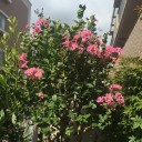 一人暮らしの日曜日