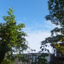 青空　広がる！