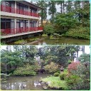 ご無沙汰しています