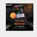 イニストラード販売中！