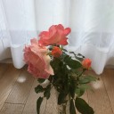 文化の日