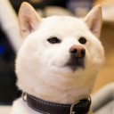 （　…あれ？　）