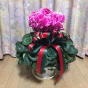 １２月の墓参り