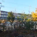 あと１週間で・・・