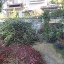 あと１週間で・・・